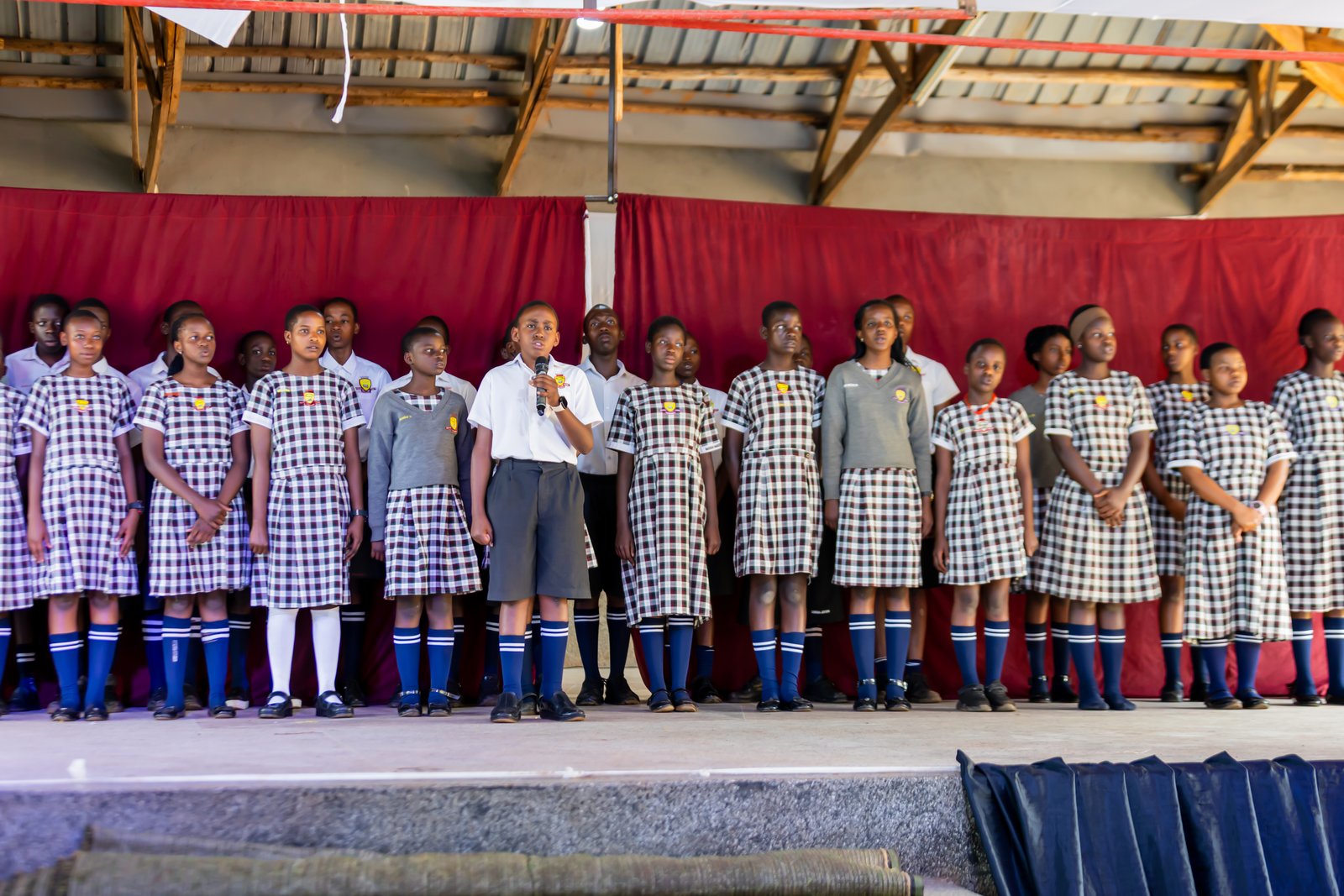 About Buddo Parents Academy