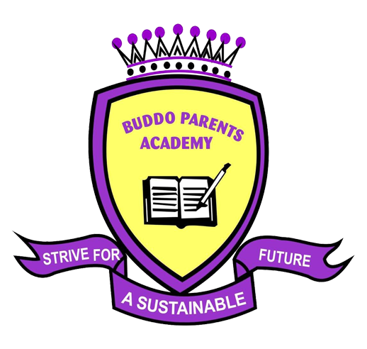 Buddo Parents Academy